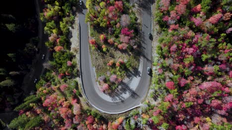 imágenes de arriba hacia abajo del tráfico en el pintoresco camino de montaña en el bosque de otoño