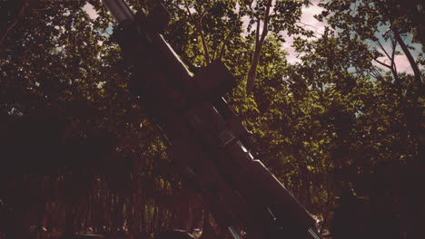 big-gun-cannon-in-the-forest