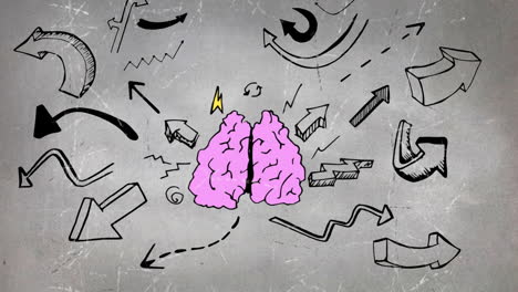esbozo de cerebro y flechas