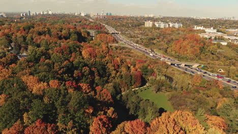 color de otoño sobre don valley parkway toronto ontario canadá