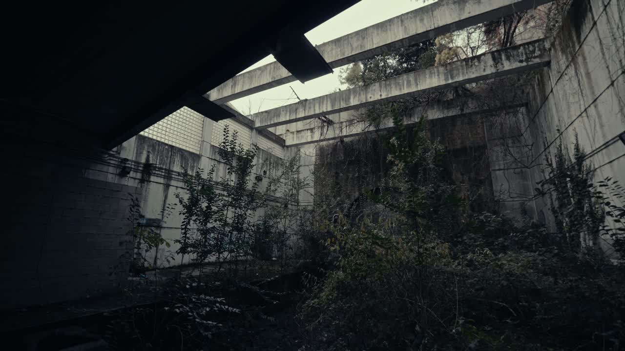 Eerie Abandoned Concrete Building Overgrown with Vegetation