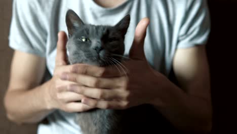 man caressing his cat