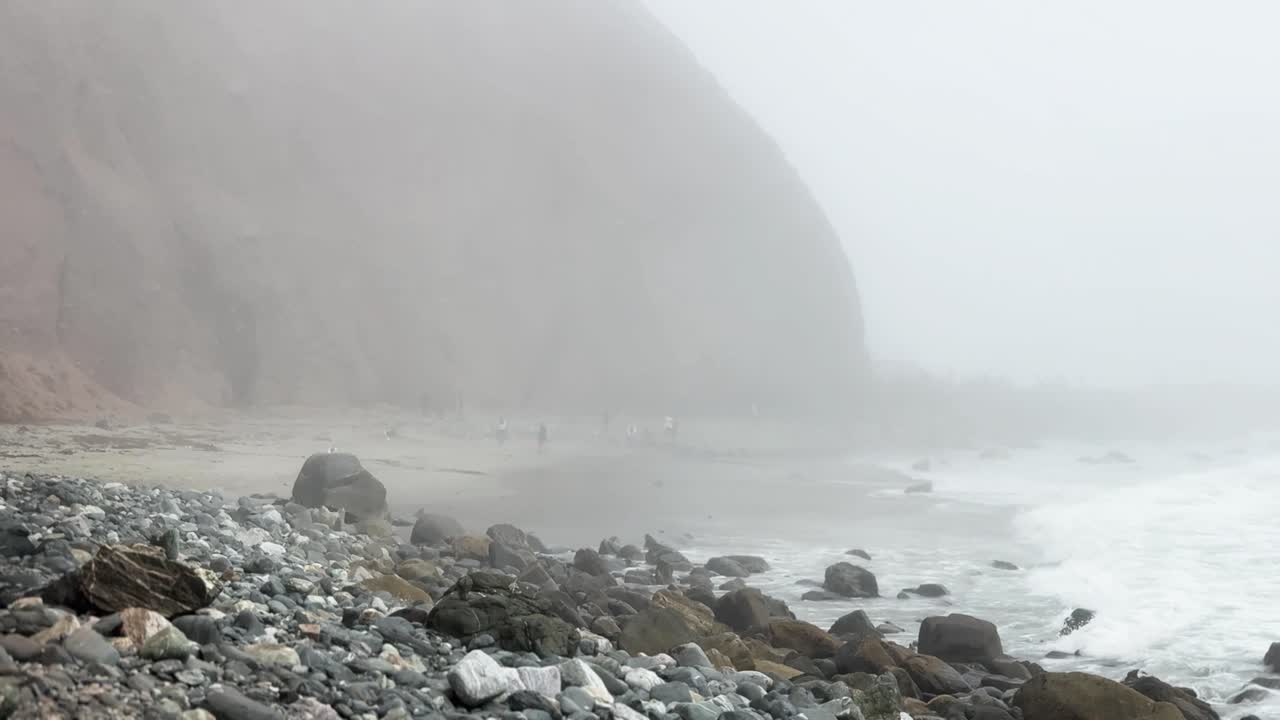 lots of people enjoying a marine life conservation beach in Dana Point California on a foggy day with seagulls swooping in crashing waves rocky shoreline silhouettes of people and blowing wind STATIC