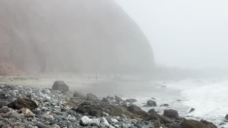 lots of people enjoying a marine life conservation beach in dana point california on a foggy day with seagulls swooping in crashing waves rocky shoreline silhouettes of people and blowing wind static