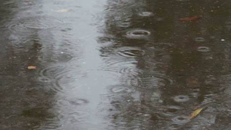 rain drops falling in puddle on urban road in rain