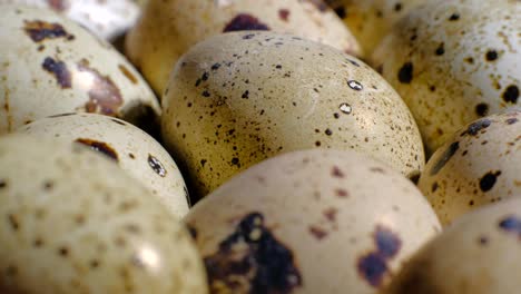 quail eggs rotation background