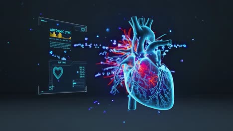3d animated human heart anatomy visualization