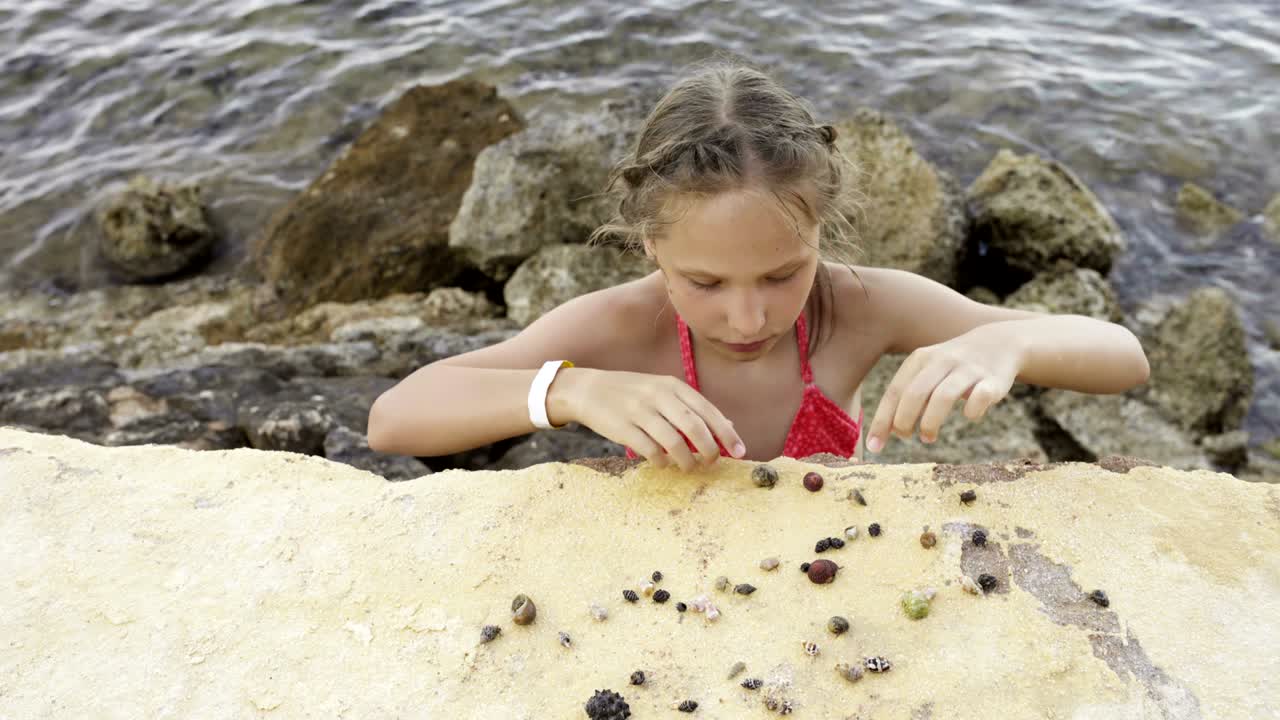 해변에서 페구로이다와 놀고 있는 소녀