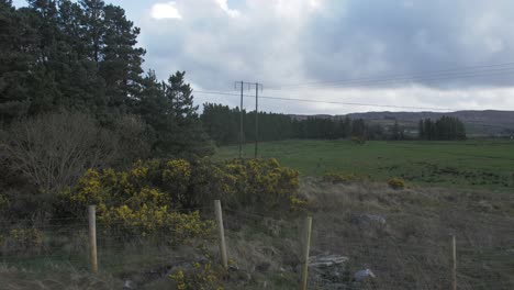 Campo-De-Hierba-En-Las-Tierras-Altas-De-Irlanda