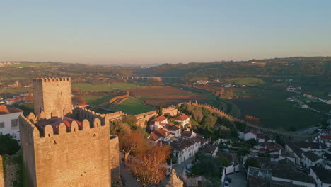 aerial castle tower rising over  village placed at green landscape