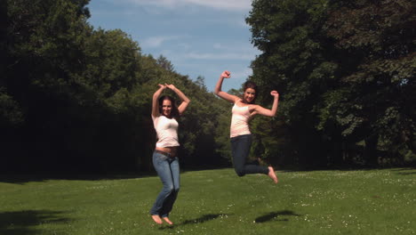 two young friend jumping in the air