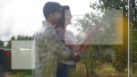 woman picking olives hugging by man in olive orchard for food industry with animated data charts
