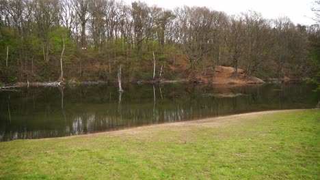 Pequeño-Lago-Oscuro-En-Un-Prado-Verde-Rodeado-De-Bosque