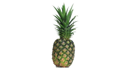 la piña girando