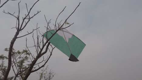 cometa estrellada en el árbol