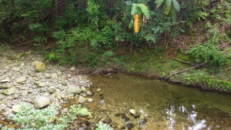 Aerial-view-over-a-stream-flowing,-through-forest-leaves-and-branches-with-dense-and-lush-vegetation,-in-Colombia