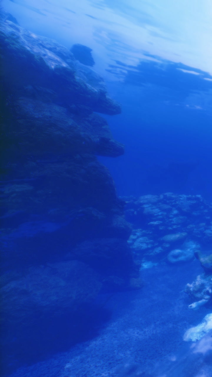 Underwater wonder reveals vibrant marine life near coral reef