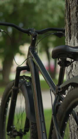 primo piano di una bicicletta parcheggiata appoggiata contro un albero in un parco lussureggiante con uno sfondo morbido sfocato con alberi, vegetazione e edifici distanti