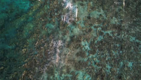 Noronky-island-coral-reef-in-los-roques-at-sunset,-tilt-up-shot,-aerial-view