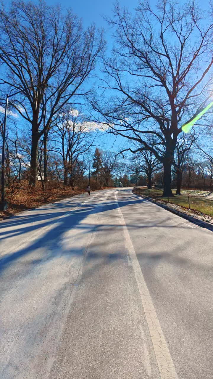 Clear winter day in Central Park. Wide empty path in Central Park, Manhattan under bright blue skies on a winter day with bare trees lining the sides