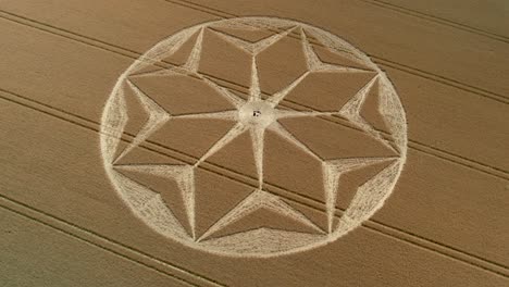 tichborne misterioso terreno de cultivo dorado patrón geométrico de flores círculo de cultivo vista aérea órbita izquierda disparado por encima