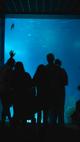 people silhouetted looking into a large blue aquarium tank