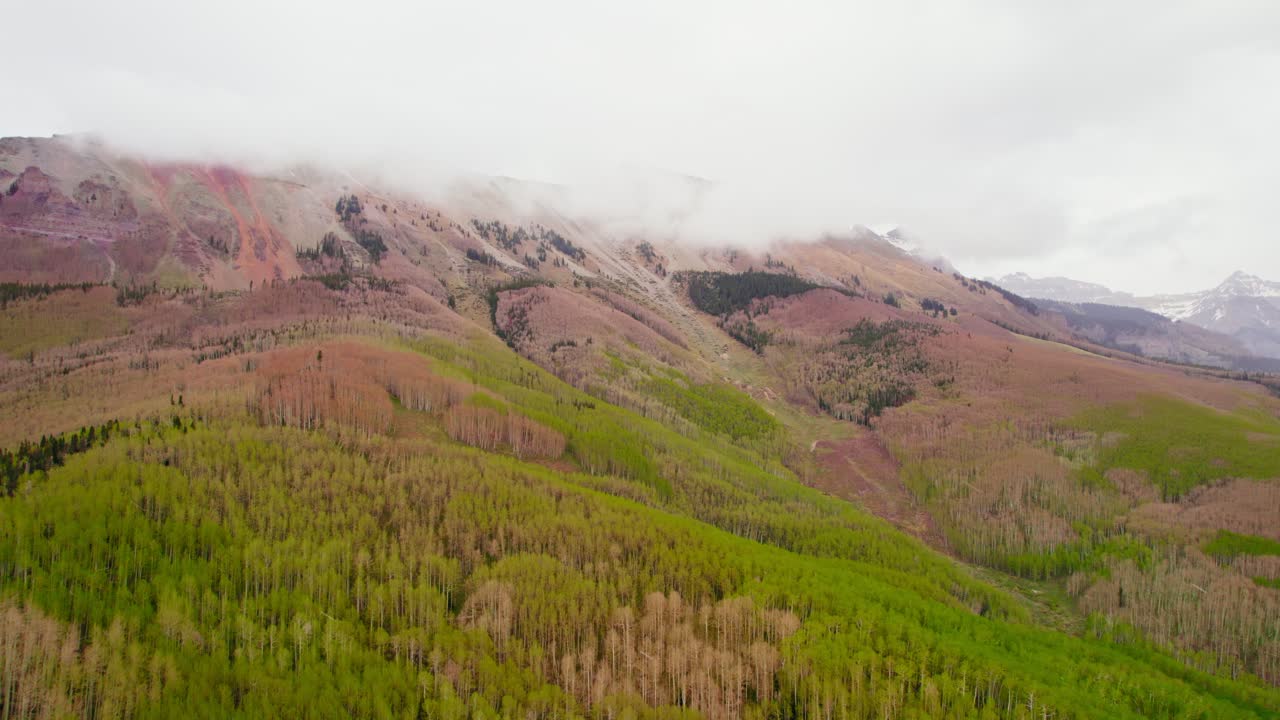 imágenes aéreas de drones de 4k de una gran base montañosa cubierta de álamos temblones con nubes bajas que cubren el pico de la montaña durante un día nublado y lluvioso