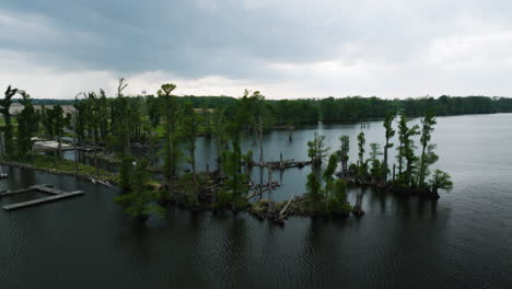 Enchanting-landscape-of-Reelfoot-Lake-and-its-magical,-lakeside-wilderness