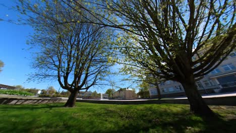 hiperlapso ángulo ancho fov disparo de movimiento hacia los árboles sin hojas en un soleado día de primavera