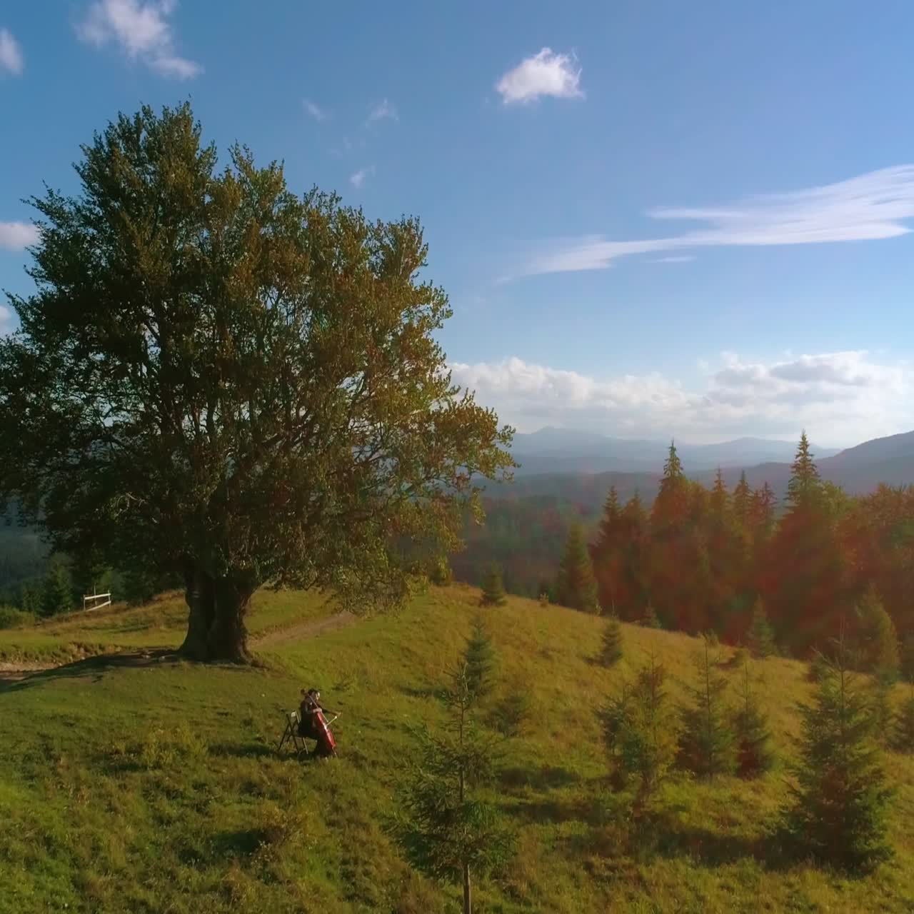 Female musician on the background of green nature. Music is performed by a cellist among picturesque mountains at sunset. Camera moving down