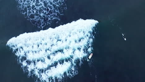 a surfer tries and misses catching a nice wave from his or her longboard - straight down aerial view