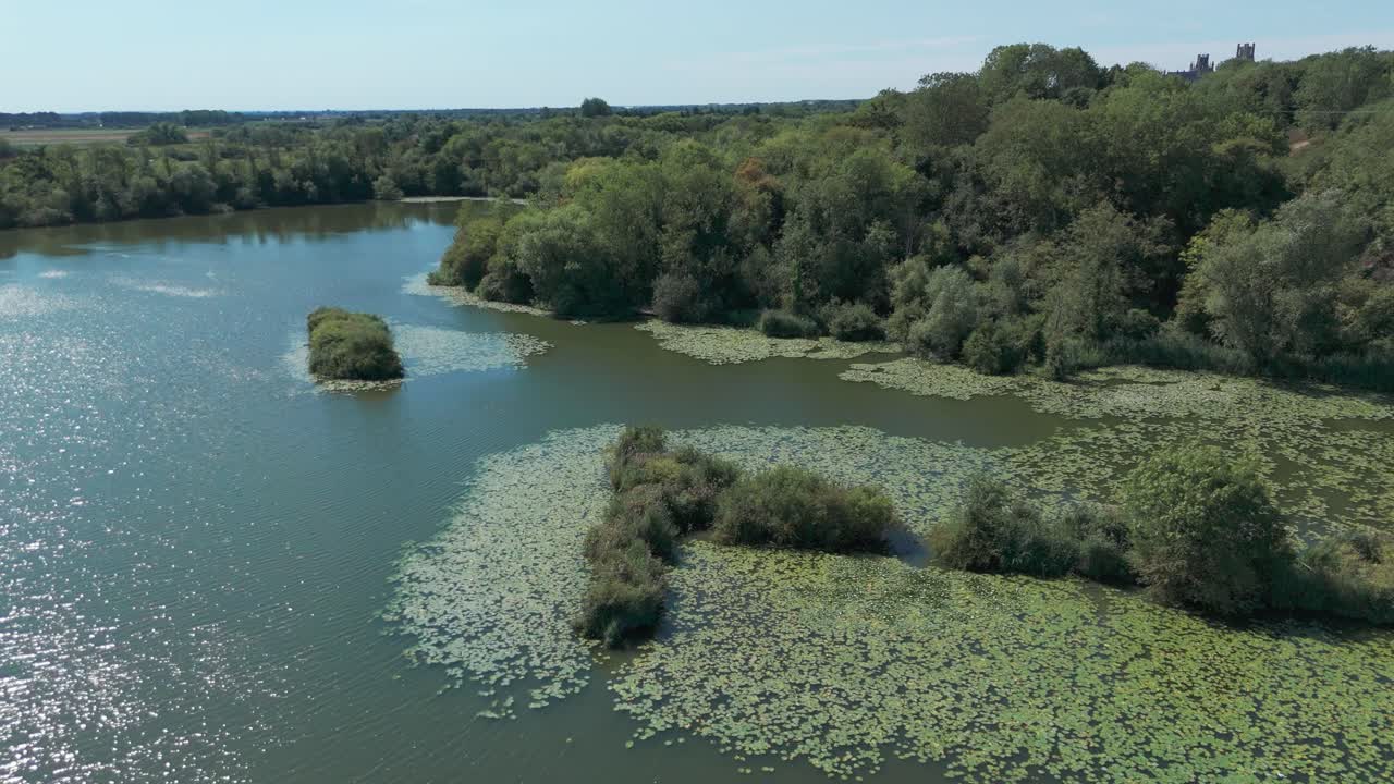 Serene river scene with lush trees, capturing nature's calm presence
