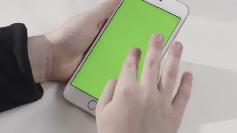 persona que sostiene un teléfono inteligente con pantalla verde