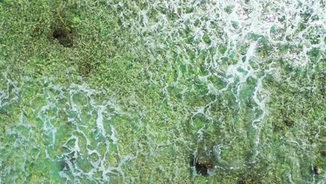 sea texture with abstract patterns of coral reefs and pebbles under clear sea water foaming on a sunny summer day in australia