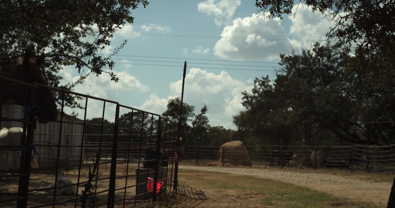 Paesaggio agricolo pacifico del Texas con recinti per animali, balle di fieno, alberi e terreno rurale aperto sotto un cielo estivo luminoso, che evoca l'autentica vita di ranch e di campagna.