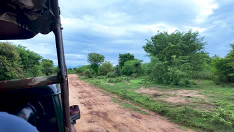 safari jeep ride through lush jungle landscape