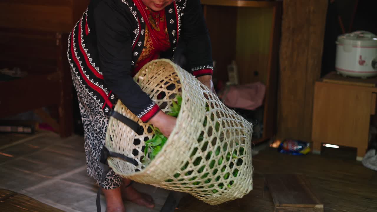 Harvesting fresh tea leaves in a traditional setting