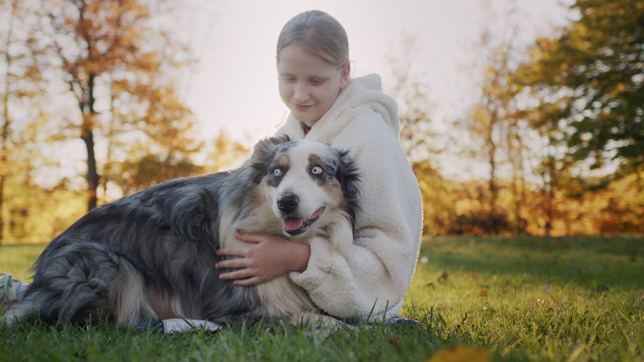 ein kind sitzt mit seinem hund auf dem gras im park und streichelt ihn. die untergehende sonne erleuchtet sie wunderschön