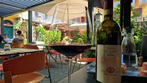 relaxing outdoor wine tasting in cuneo, italy