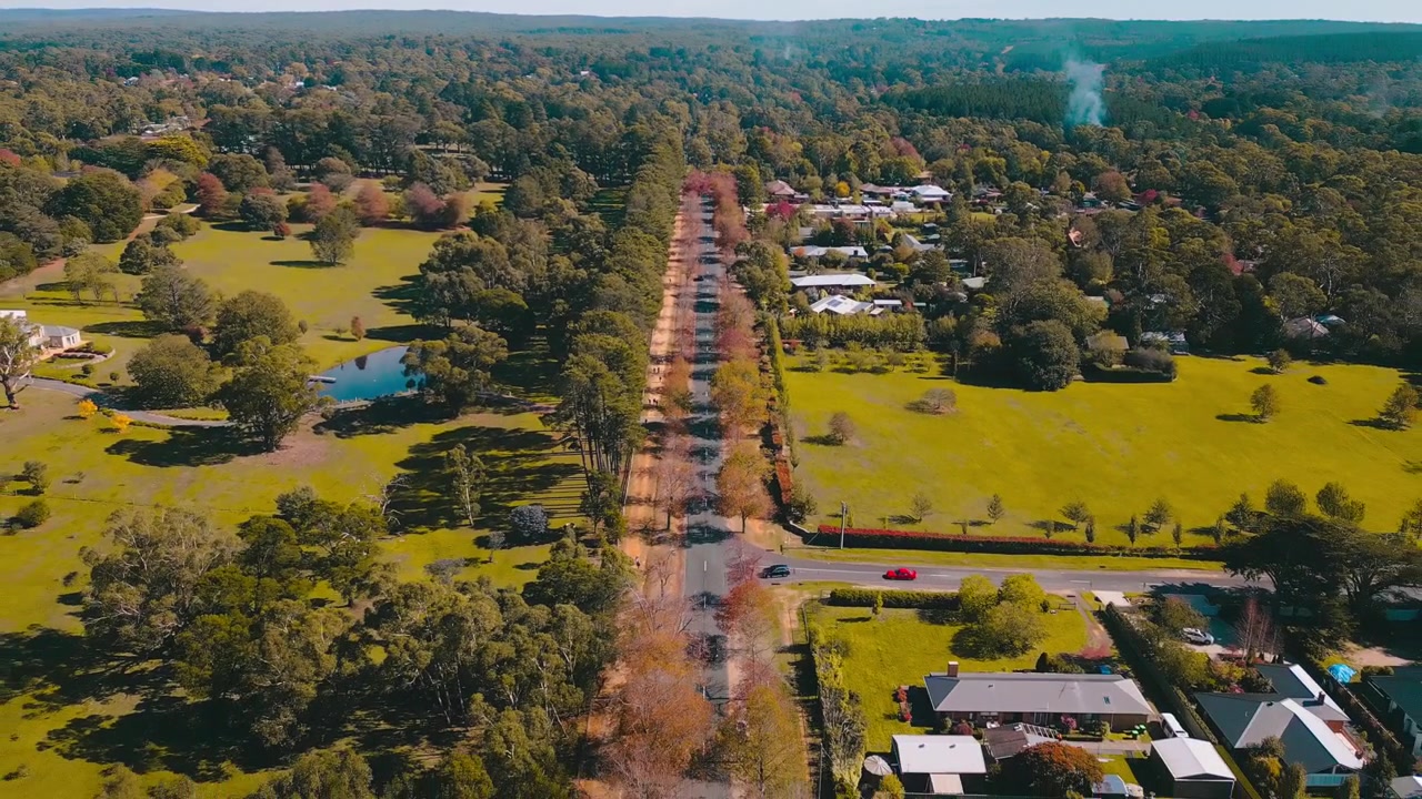 Imágenes aéreas de dron capturando la Avenida Honour bordeada de vibrante follaje otoñal en Macedon, Victoria, con gente, coches y un soleado paisaje estacional en 4K