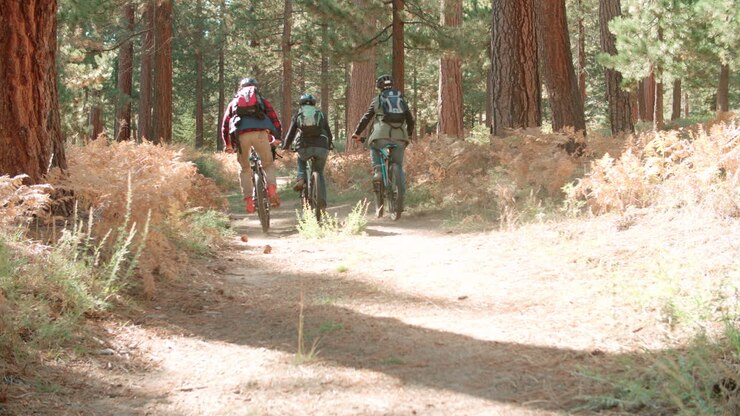 Friends cycling away from camera on a forest path, low angle
