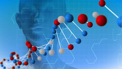 Menschenmodell-Und-DNA