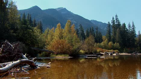 Un-Hermoso-Arroyo-Y-Bosque-En-El-Noroeste-De-Estados-Unidos-2016