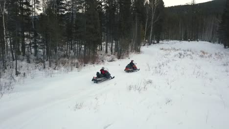 snowmobiling in a snowy forest