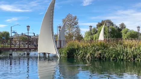 Patos-Nadando-En-La-Superficie-Del-Lago-Del-Mercado-De-Bridgeport-En-La-Comunidad-Frente-Al-Lago-En-Santa-Clarita,-California