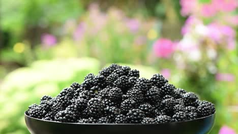 blackberries on a plate. side view. loop motion. rotation 360.