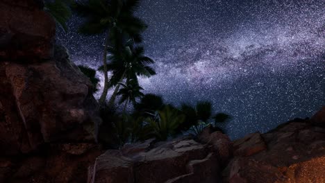rutas estelares de hiperlapso de 4k sobre paredes y palmeras de cañones de piedra arenisca