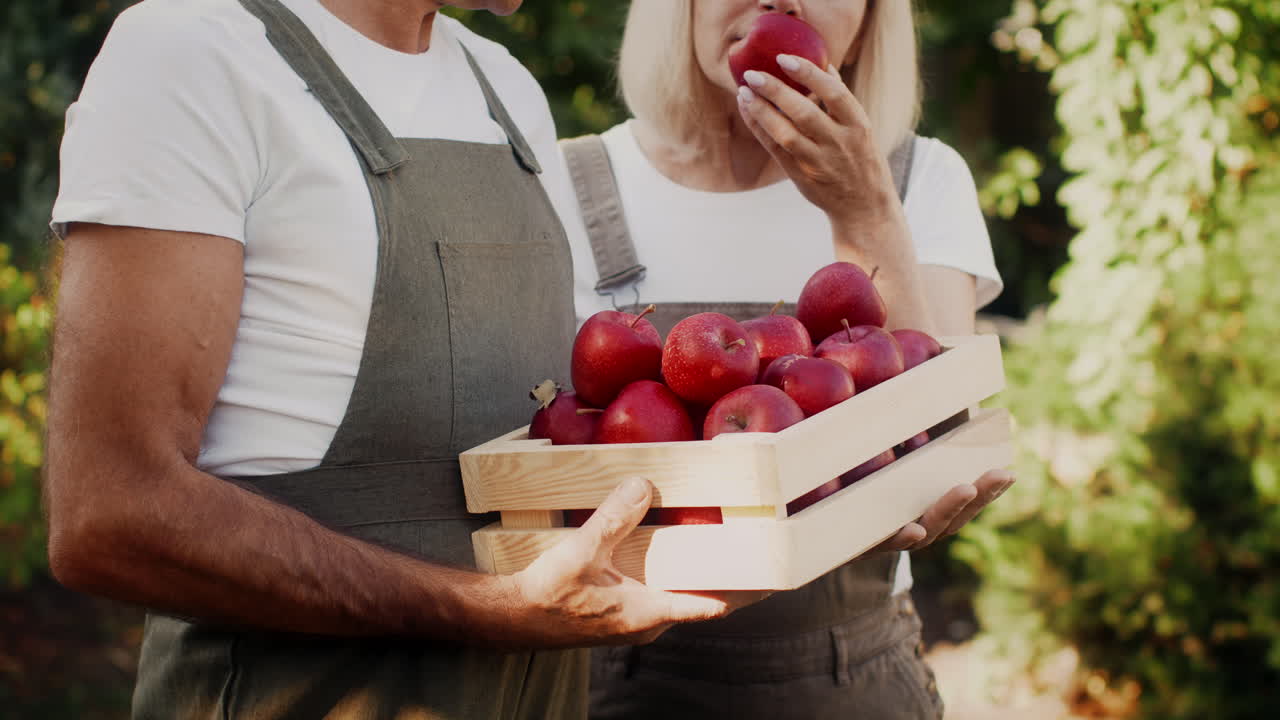 Happy Couple Picking Apples