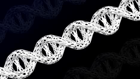 la estructura celular de la molécula de adn se vuelve.