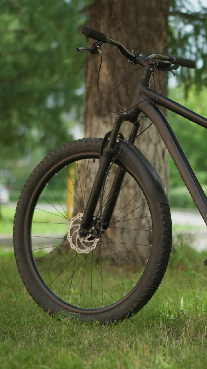 Bicicleta encostada em uma árvore em um cenário de parque sereno, com uma figura desfocada ao fundo, adicionando profundidade e perspectiva, cercada por vegetação exuberante e um efeito bokeh suave